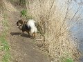 filou (35)